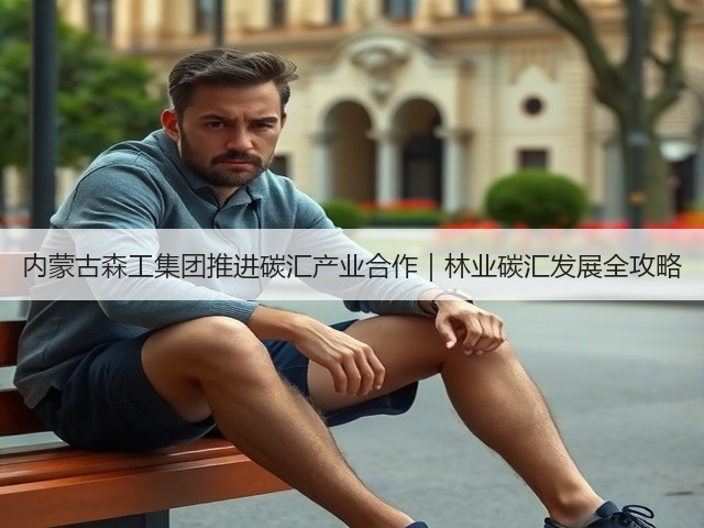 内蒙古森工集团推进碳汇产业合作｜林业碳汇发展全攻略(图2)