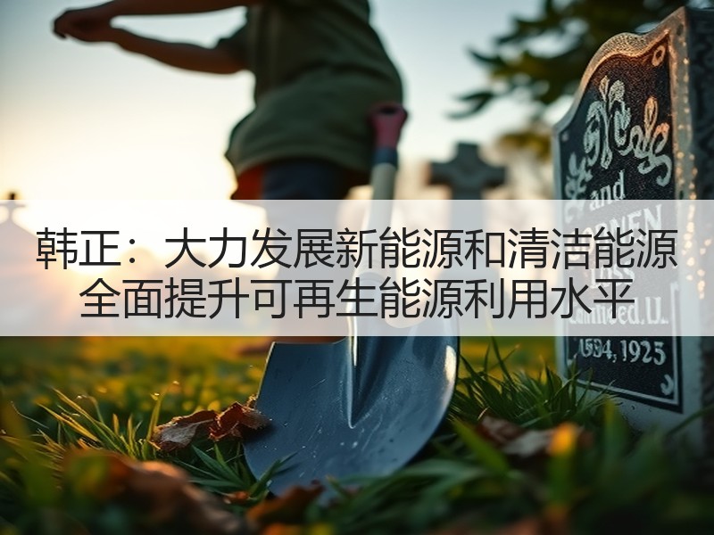 韩正：大力发展新能源和清洁能源 全面提升可再生能源利用水平