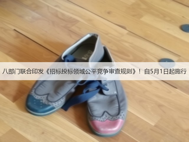 八部门联合印发《招标投标领域公平竞争审查规则》!自5月1日起施行(图2) 八部门联合印发《招标投标领域公平竞争审查规则》!自5月1日起施行(图2)