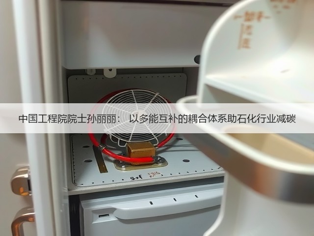 中国工程院院士孙丽丽: 以多能互补的耦合体系助石化行业减碳(图3) 中国工程院院士孙丽丽: 以多能互补的耦合体系助石化行业减碳(图3)