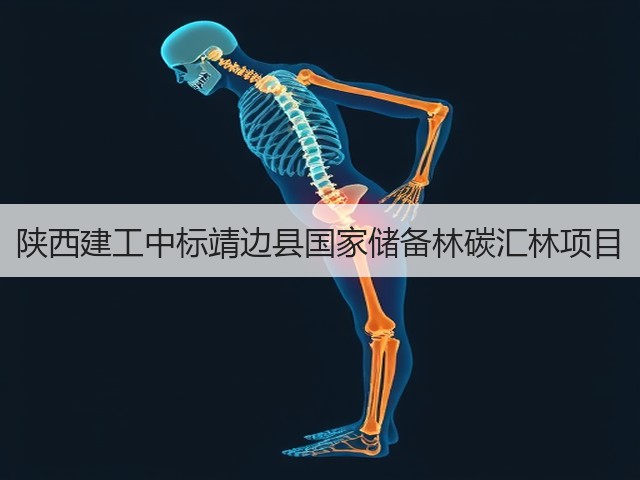 陕西建工中标靖边县国家储备林碳汇林项目(图2) 陕西建工中标靖边县国家储备林碳汇林项目(图2)
