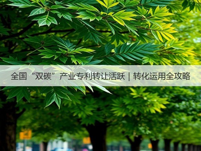 全国“双碳”产业专利转让活跃|转化运用全攻略(图3) 全国“双碳”产业专利转让活跃|转化运用全攻略(图3)
