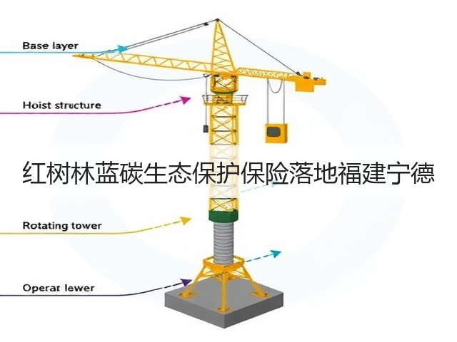 红树林蓝碳生态保护保险落地福建宁德(图3)