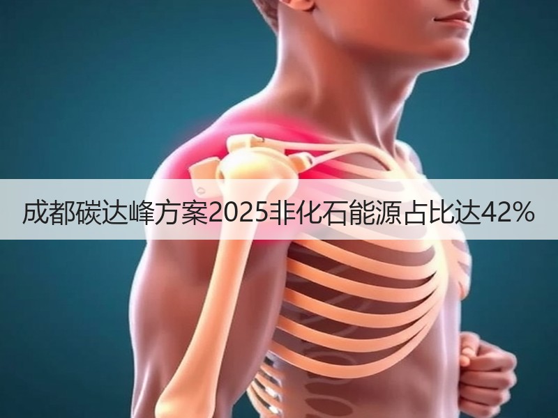 成都碳达峰方案2025非化石能源占比达42% 成都碳达峰方案2025非化石能源占比达42%
