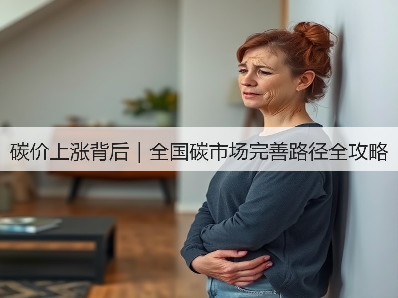 碳价上涨背后|全国碳市场完善路径全攻略 碳价上涨背后|全国碳市场完善路径全攻略