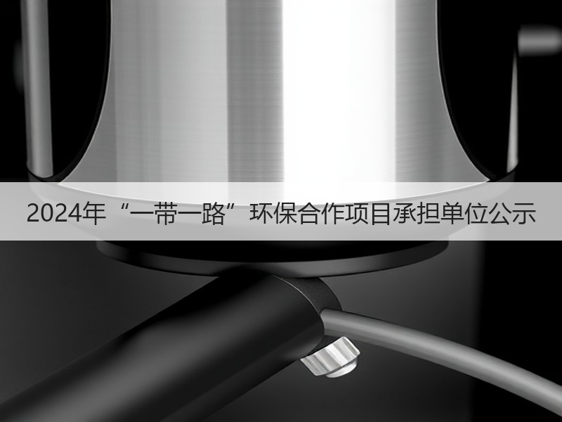 2024年“一带一路”环保合作项目承担单位公示