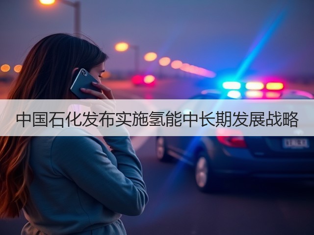 中国石化发布实施氢能中长期发展战略(图2) 中国石化发布实施氢能中长期发展战略(图2)