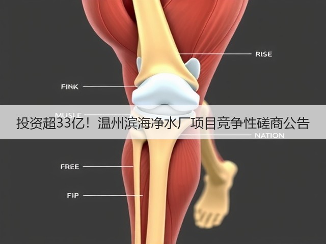 投资超33亿!温州滨海净水厂项目竞争性磋商公告(图1) 投资超33亿!温州滨海净水厂项目竞争性磋商公告(图1)
