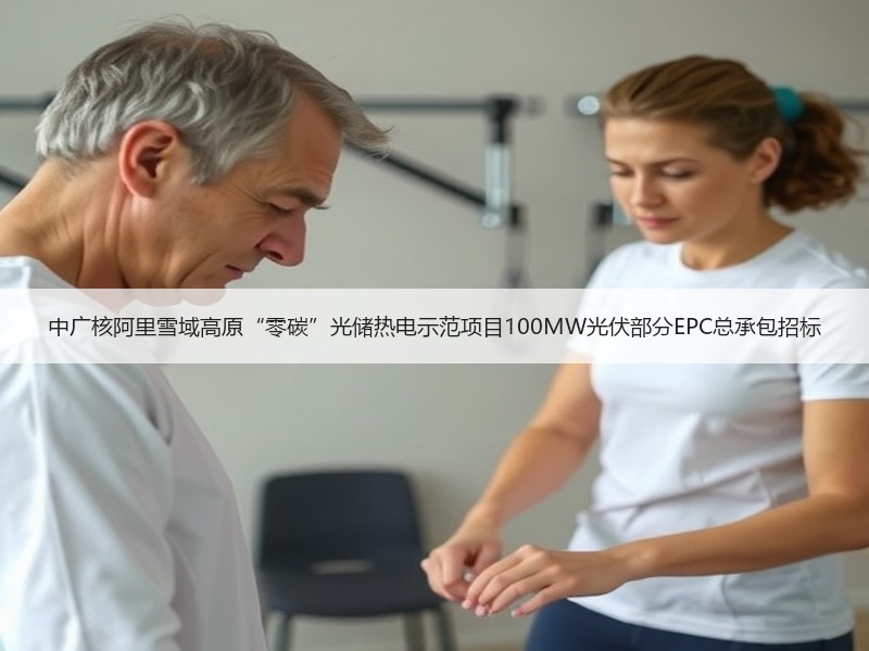 中广核阿里雪域高原“零碳”光储热电示范项目100MW光伏部分EPC总承包招标