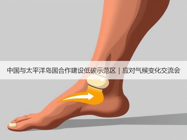 中国与太平洋岛国合作建设低碳示范区｜应对气候变化交流会(图3)