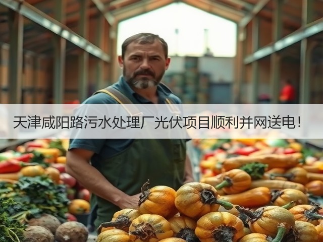 天津咸阳路污水处理厂光伏项目顺利并网送电!(图2) 天津咸阳路污水处理厂光伏项目顺利并网送电!(图2)