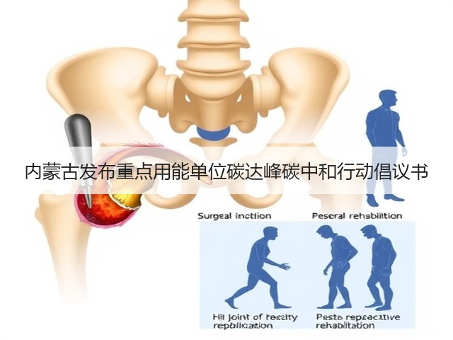 内蒙古发布重点用能单位碳达峰碳中和行动倡议书(图3)