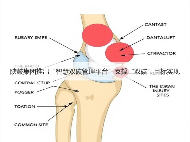 陕鼓集团推出“智慧双碳管理平台”支撑“双碳”目标实现(图2) 陕鼓集团推出“智慧双碳管理平台”支撑“双碳”目标实现(图2)
