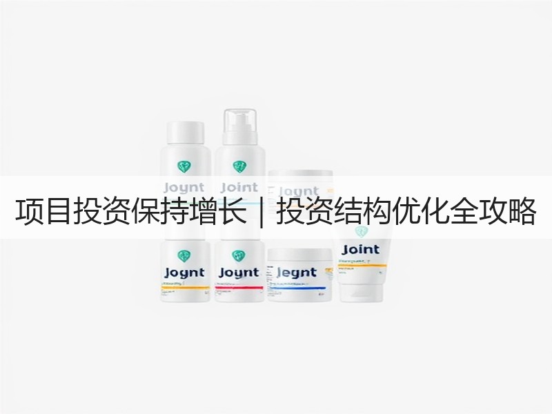 项目投资保持增长｜投资结构优化全攻略