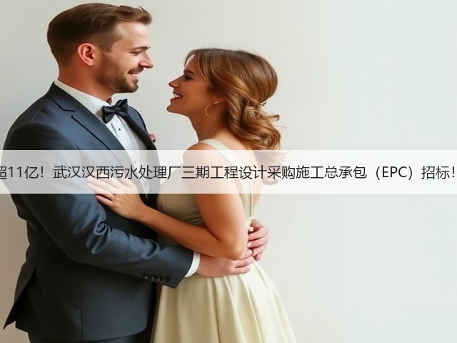 超11亿!武汉汉西污水处理厂三期工程设计采购施工总承包(EPC)招标!(图2) 超11亿!武汉汉西污水处理厂三期工程设计采购施工总承包(EPC)招标!(图2)
