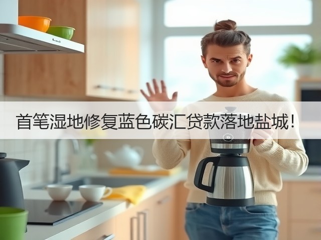 首笔湿地修复蓝色碳汇贷款落地盐城!(图2) 首笔湿地修复蓝色碳汇贷款落地盐城!(图2)