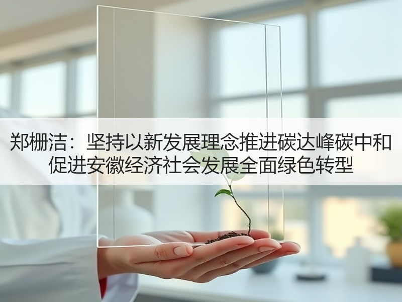 郑栅洁：坚持以新发展理念推进碳达峰碳中和 促进安徽经济社会发展全面绿色转型