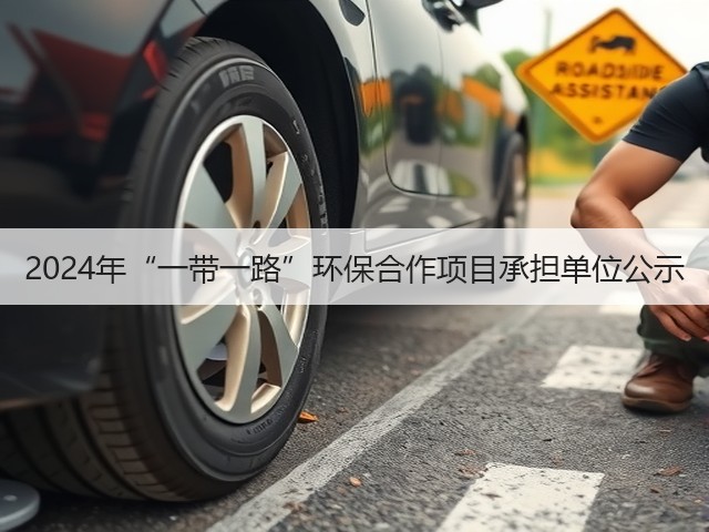 2024年“一带一路”环保合作项目承担单位公示(图1)