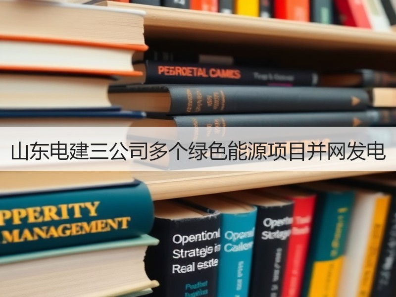 山东电建三公司多个绿色能源项目并网发电