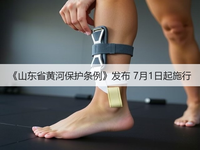《山东省黄河保护条例》发布 7月1日起施行(图3) 《山东省黄河保护条例》发布 7月1日起施行(图3)