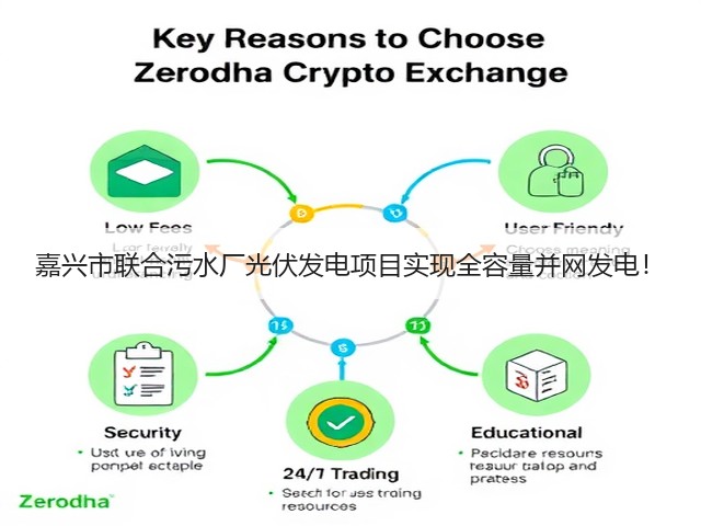 嘉兴市联合污水厂光伏发电项目实现全容量并网发电！(图1)
