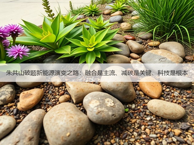 朱共山破题新能源演变之路:融合是主流、减碳是关键、科技是根本(图2) 朱共山破题新能源演变之路:融合是主流、减碳是关键、科技是根本(图2)