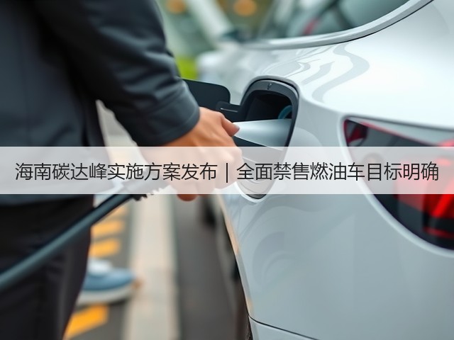 海南碳达峰实施方案发布|全面禁售燃油车目标明确(图3) 海南碳达峰实施方案发布|全面禁售燃油车目标明确(图3)