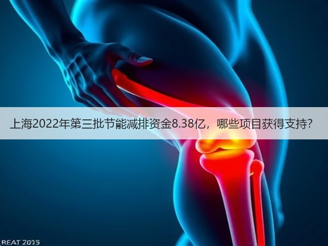 上海2022年第三批节能减排资金8.38亿,哪些项目获得支持?(图3) 上海2022年第三批节能减排资金8.38亿,哪些项目获得支持?(图3)