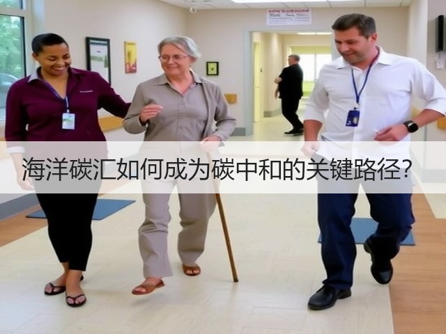 海洋碳汇如何成为碳中和的关键路径?(图2) 海洋碳汇如何成为碳中和的关键路径?(图2)