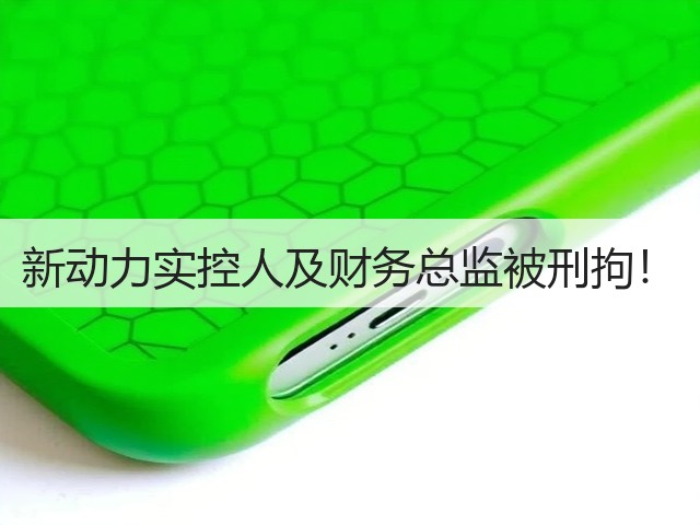 新动力实控人及财务总监被刑拘!(图3) 新动力实控人及财务总监被刑拘!(图3)