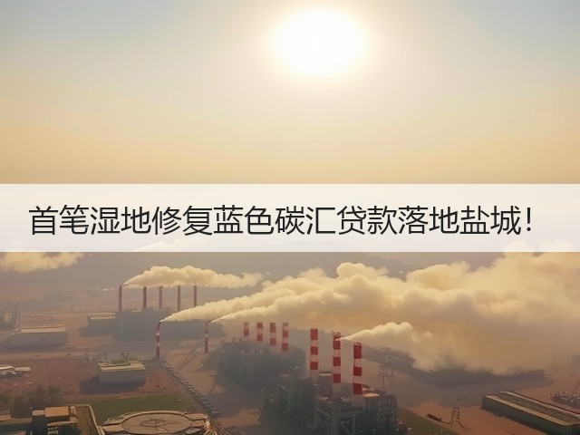首笔湿地修复蓝色碳汇贷款落地盐城!(图3) 首笔湿地修复蓝色碳汇贷款落地盐城!(图3)