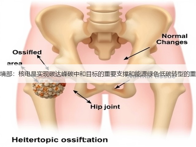 生态环境部：核电是实现碳达峰碳中和目标的重要支撑和能源绿色低碳转型的重要选项(图1)