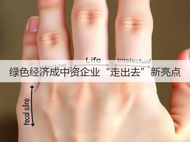 绿色经济成中资企业“走出去”新亮点(图3) 绿色经济成中资企业“走出去”新亮点(图3)
