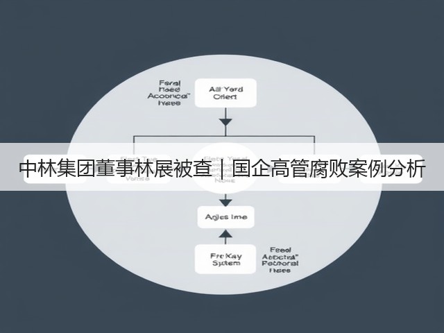 中林集团董事林展被查|国企高管腐败案例分析(图3) 中林集团董事林展被查|国企高管腐败案例分析(图3)