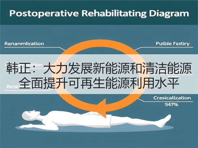 韩正：大力发展新能源和清洁能源 全面提升可再生能源利用水平(图2)