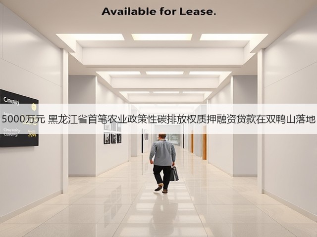 5000万元 黑龙江省首笔农业政策性碳排放权质押融资贷款在双鸭山落地(图2)