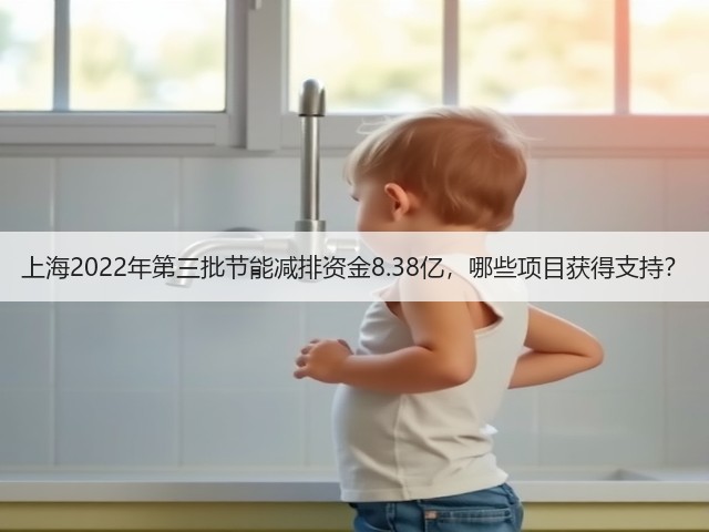 上海2022年第三批节能减排资金8.38亿,哪些项目获得支持?(图1) 上海2022年第三批节能减排资金8.38亿,哪些项目获得支持?(图1)