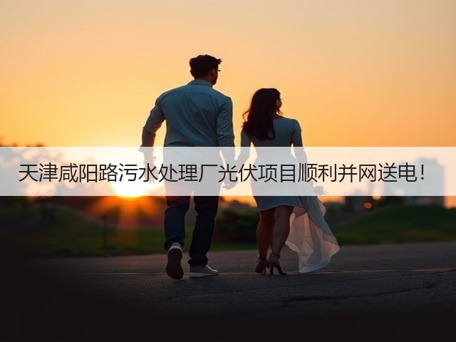 天津咸阳路污水处理厂光伏项目顺利并网送电！(图1)