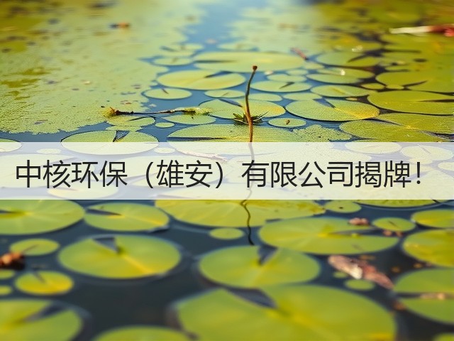 中核环保（雄安）有限公司揭牌！(图3)