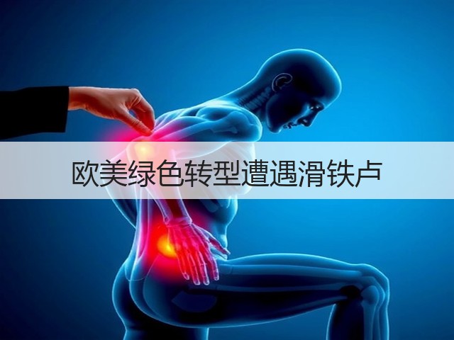 欧美绿色转型遭遇滑铁卢(图3) 欧美绿色转型遭遇滑铁卢(图3)
