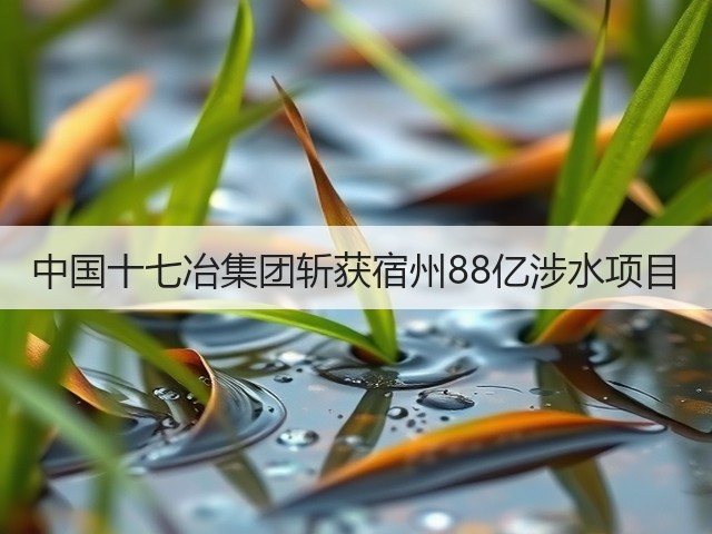 中国十七冶集团斩获宿州88亿涉水项目(图1) 中国十七冶集团斩获宿州88亿涉水项目(图1)