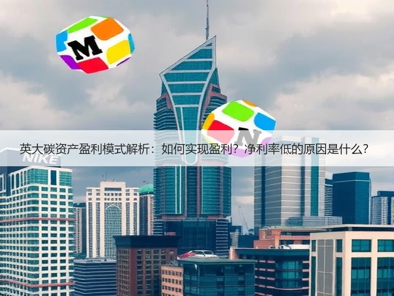 英大碳资产盈利模式解析:如何实现盈利?净利率低的原因是什么? 英大碳资产盈利模式解析:如何实现盈利?净利率低的原因是什么?