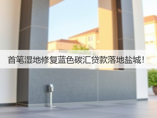 首笔湿地修复蓝色碳汇贷款落地盐城!(图1) 首笔湿地修复蓝色碳汇贷款落地盐城!(图1)