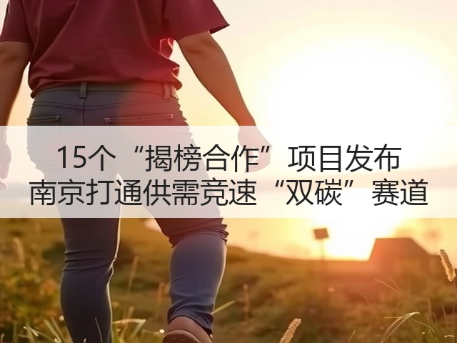15个“揭榜合作”项目发布 南京打通供需竞速“双碳”赛道(图3) 15个“揭榜合作”项目发布 南京打通供需竞速“双碳”赛道(图3)