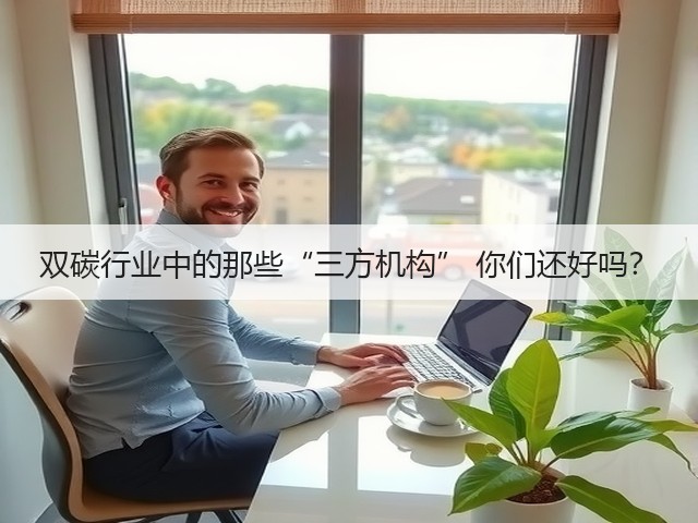 双碳行业中的那些“三方机构” 你们还好吗?(图3) 双碳行业中的那些“三方机构” 你们还好吗?(图3)