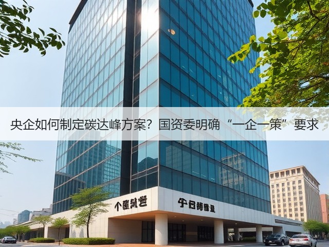 央企如何制定碳达峰方案?国资委明确“一企一策”要求(图3) 央企如何制定碳达峰方案?国资委明确“一企一策”要求(图3)