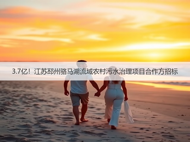 3.7亿!江苏邳州骆马湖流域农村污水治理项目合作方招标(图2) 3.7亿!江苏邳州骆马湖流域农村污水治理项目合作方招标(图2)
