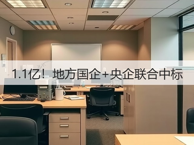 1.1亿!地方国企+央企联合中标(图2) 1.1亿!地方国企+央企联合中标(图2)