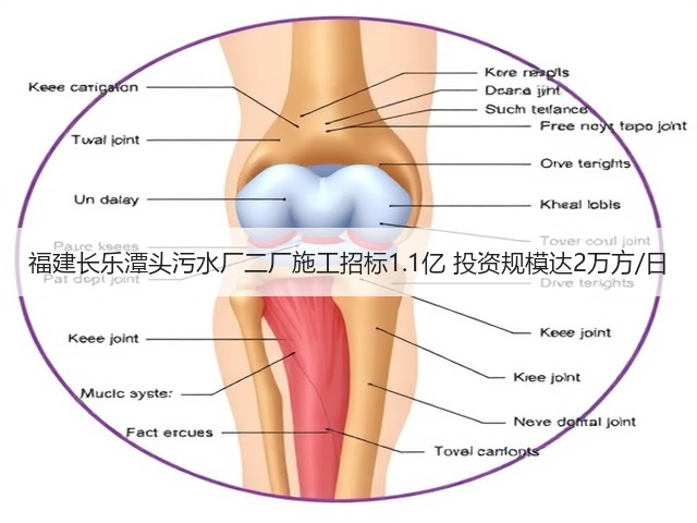 福建长乐潭头污水厂二厂施工招标1.1亿 投资规模达2万方/日(图2) 福建长乐潭头污水厂二厂施工招标1.1亿 投资规模达2万方/日(图2)