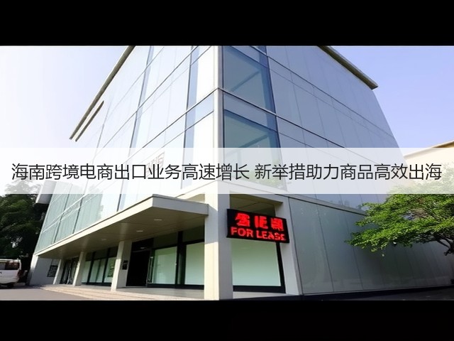 海南跨境电商出口业务高速增长 新举措助力商品高效出海(图3)